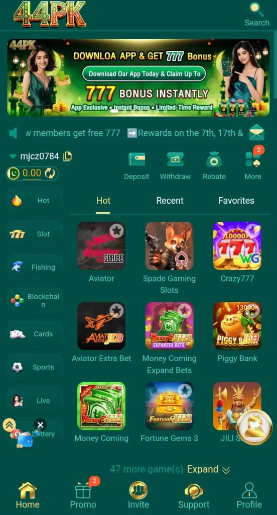 Key Features 44PK Game