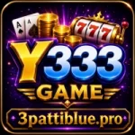 Y333 Game