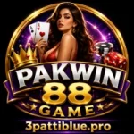PakWin88 Game