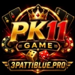 PK11 Game
